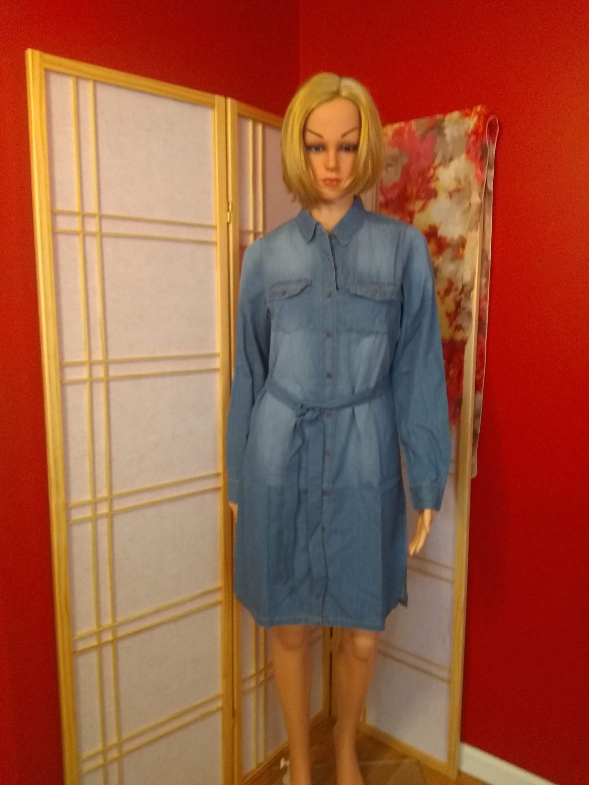Womens Chambray Denim Dress image 0